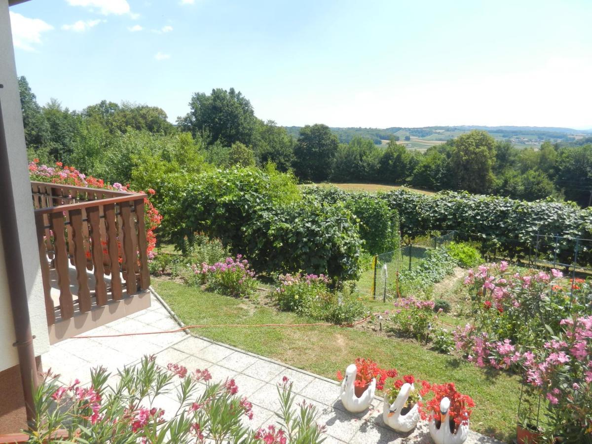 Urlaub Fuer Die Seele - Erholung Pur In Der Natur - Ferienhaus Mit Infrarotkabine & Relax-Raum Rucmanci Ngoại thất bức ảnh
